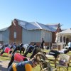 EHW Seminar - 30 August 2017